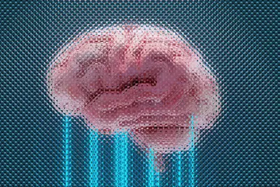 🧠 Memory Optimization Strategies: Simple Guide
