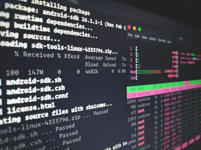 🔄 AlmaLinux vs CentOS: Complete Migration Guide for Beginners