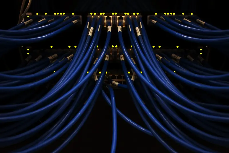 🌐 Configuring DHCP Client: Simple Guide