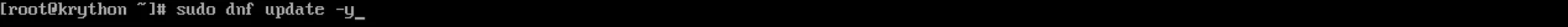 System Package Update